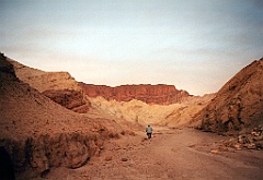 1995 - USA 139 (La Vallée de la Mort)